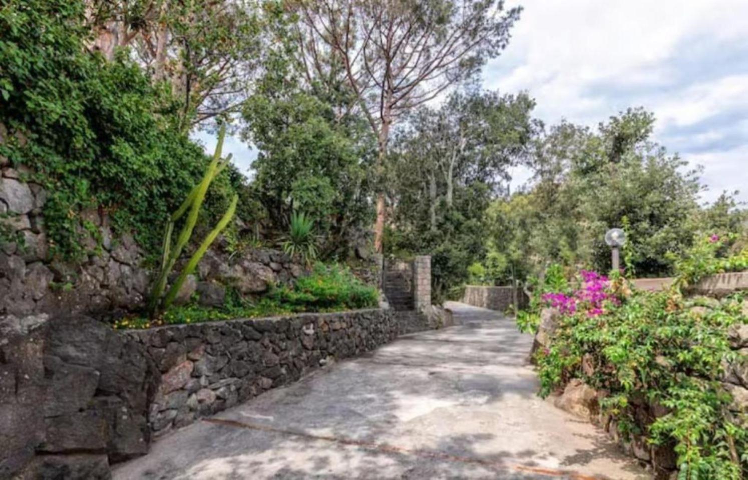 Ischia Forio Casa Villa, La Grille Du Coq 1 Il Prezzo Della Villa E Riferito All'Intero Alloggio Con Il Limite Delle Persone Previste N 4 Kültér fotó